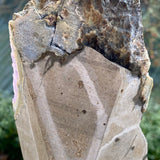 Géode d'améthyste d'Uruguay