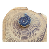 Collier "véritable fossil"