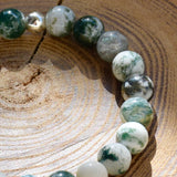 Bracelet d'agate tree/ mousse verte