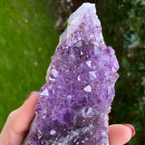 Géode d’améthyste