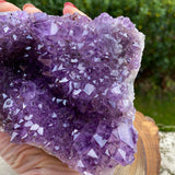 Géode d’améthyste